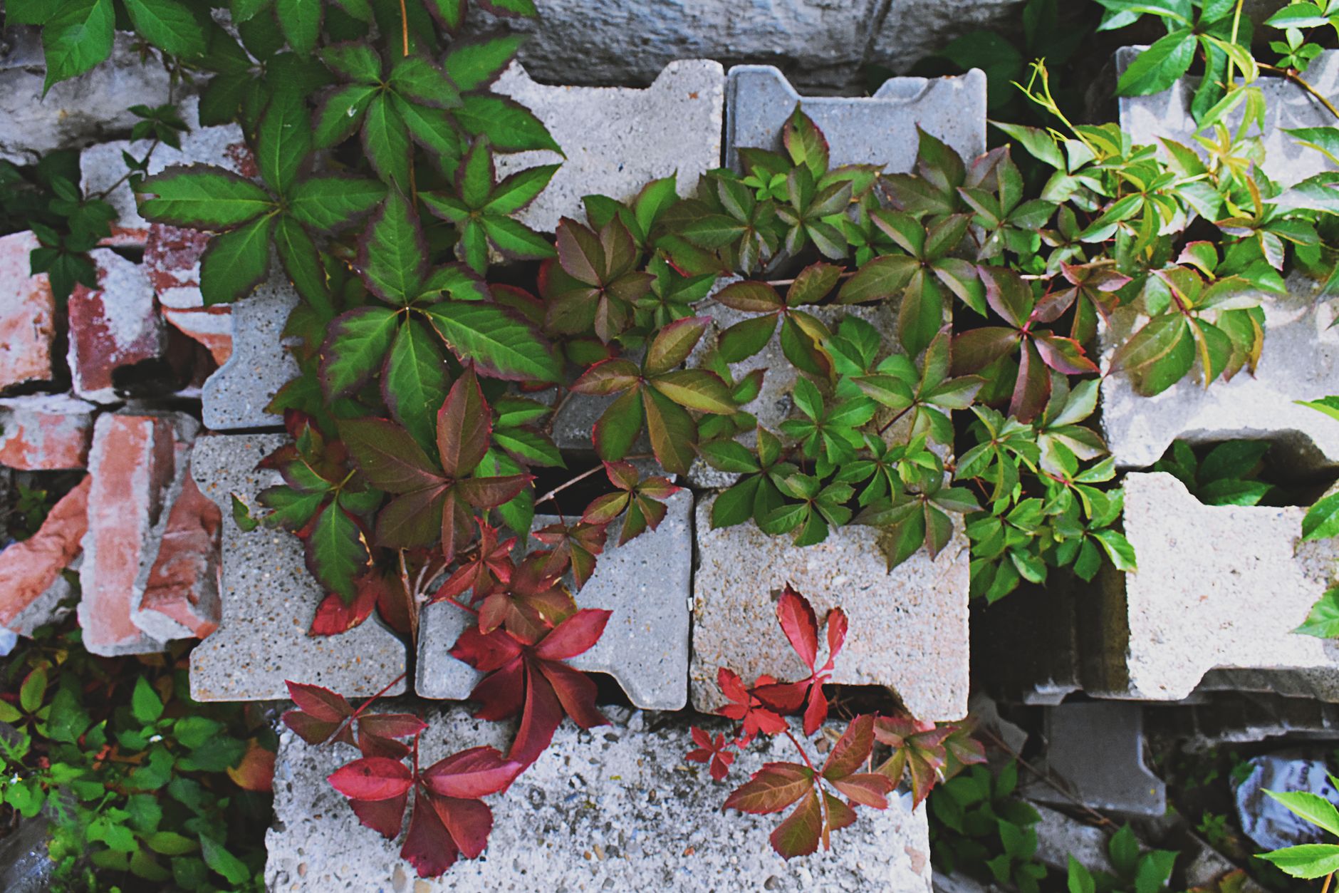 Retaining Walls on Domestic UK Sites: Materials, Heights and When You Need Building Regulations Approval