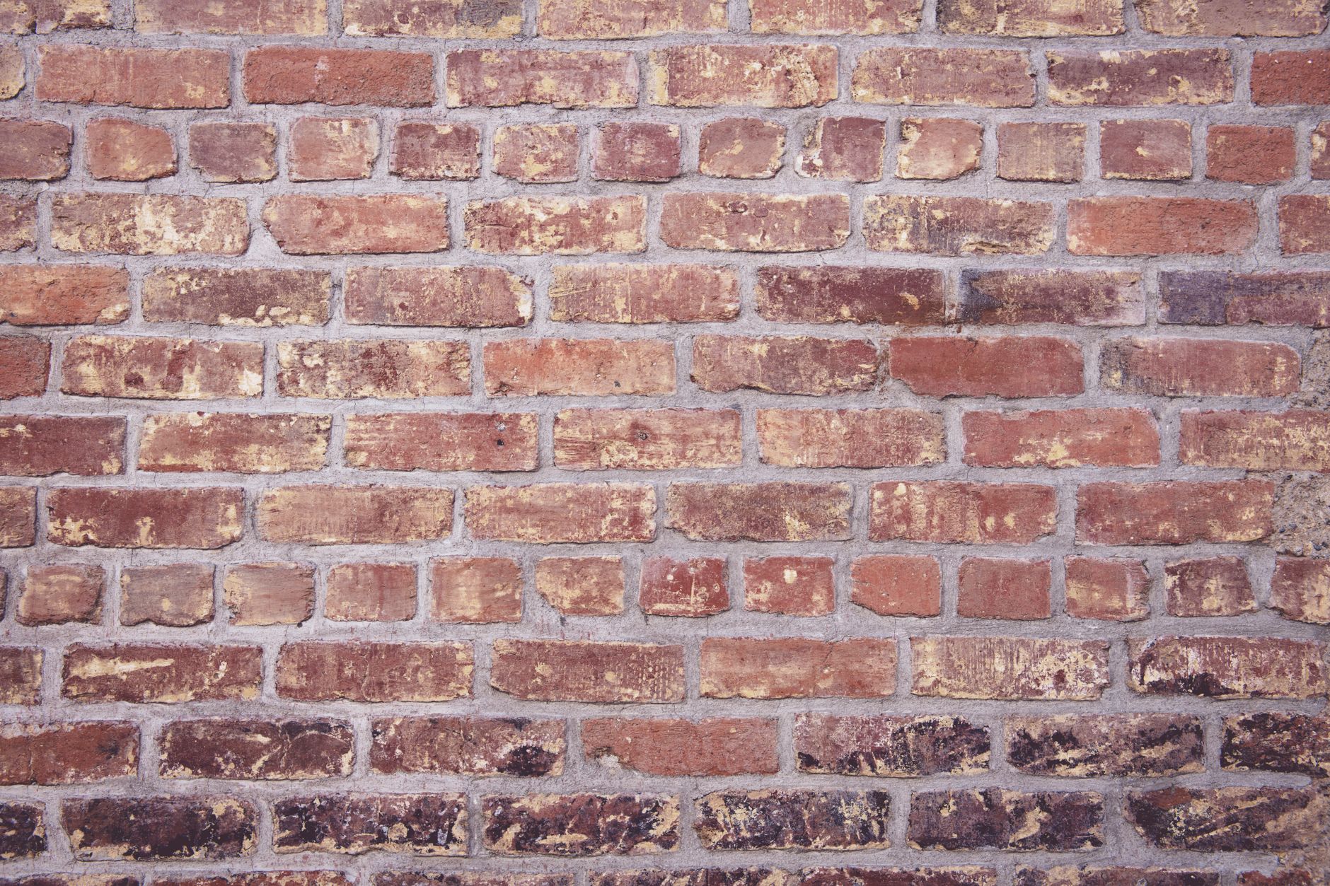 Tide mark and salt deposits on a brick wall showing signs of rising damp vs penetrating damp